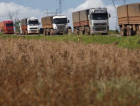 Demanda de frete rodoviário no agronegócio tem incremento