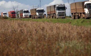 Demanda de frete rodoviário no agronegócio tem incremento