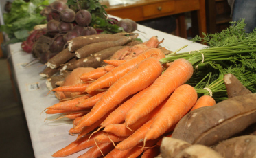 “Principal chamariz do evento são as cooperativas”, diz Backes sobre a Agroponte