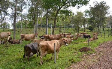 Faesc apoia movimento dos caminhoneiros e pede bom senso