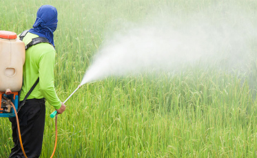 Câmara discute criação da Política Nacional de Redução de Agrotóxicos