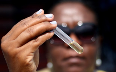 Verão exige mais cuidados para evitar proliferação do Aedes aegypti