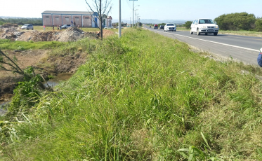 Duas crianças morrem após carro cair em vala na SC-445