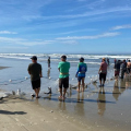 Redes cheias: pesca rende até 10 toneladas de tainha no litoral de Jaguaruna
