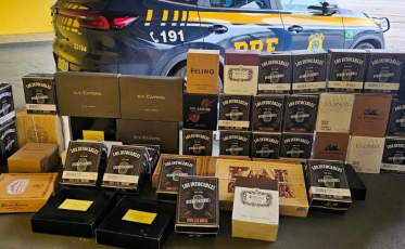 Quase 300 garrafas de vinho argentino são apreendidas escondidas em carro na BR-101
