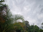 Domingo será de chuva, vento e temperaturas baixas em Criciúma