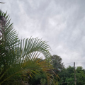 Domingo será de chuva, vento e temperaturas baixas em Criciúma
