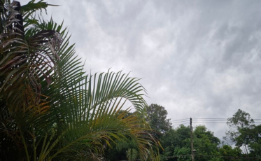 Domingo será de chuva, vento e temperaturas baixas em Criciúma