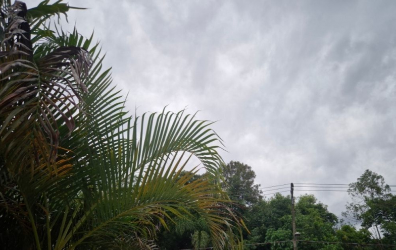 Domingo será de chuva, vento e temperaturas baixas em Criciúma