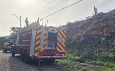 Incêndio em vegetação causa fumaça densa no centro de Criciúma