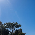 Fim de semana será de sol, vento e temperaturas baixas em Criciúma e região