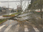 Temporal deixa cidades em alerta após série de estragos no Sul de SC