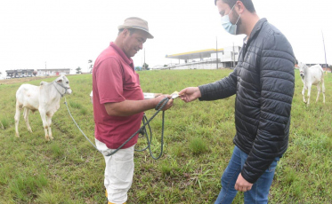 Alex e Bia apresentam planejamento estratégico para a agricultura