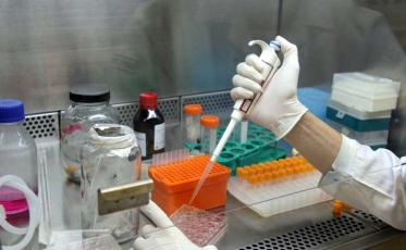 Pesquisadores conseguem combater sintomas do Alzheimer com canabinoide