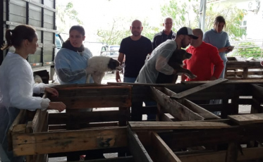 Cerca de 150 cães e gatos foram acolhidos durante os alagamentos em Tubarão 