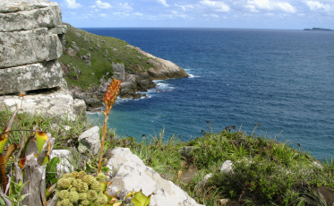 [Áudio] APA da Baleia Franca: Após audiência pública, comissão da Alesc adia entrega de relatório final