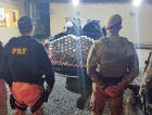 BR-280: PRF e PM apreendem R$ 20,5 milhões em cocaína em Jaraguá do Sul