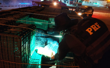 Polícia apreende mais de uma tonelada de maconha em SC