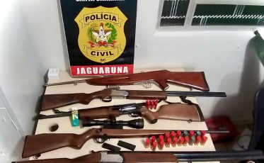 Armas são apreendidas em investigação de violência doméstica