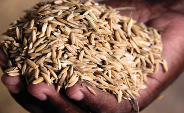 Supermercados contra os aumentos no ICMS do arroz