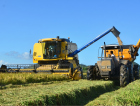 SC fecha acordo internacional para exportar 100 mil toneladas de arroz após crise