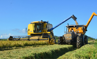 SC fecha acordo internacional para exportar 100 mil toneladas de arroz após crise