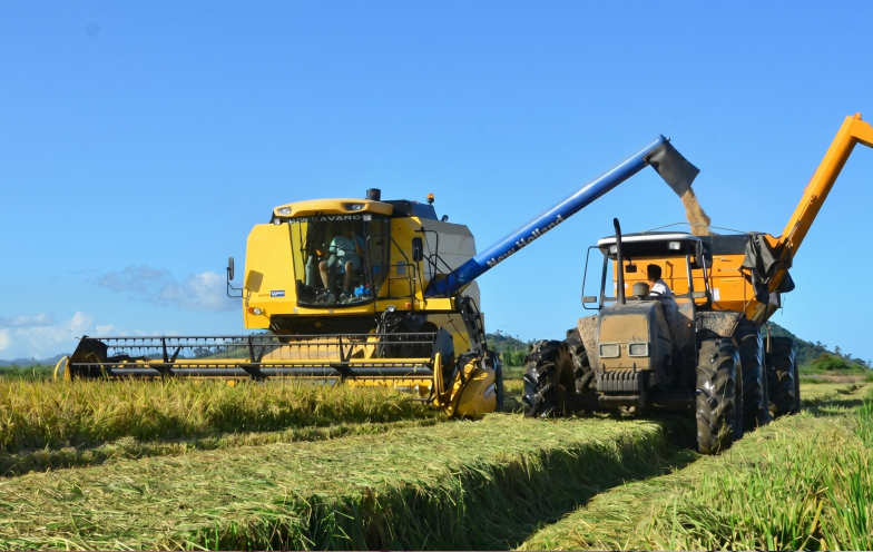 SC fecha acordo internacional para exportar 100 mil toneladas de arroz após crise