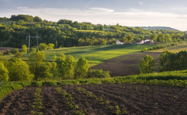 Carbonífera indenizará donos de terras por secar açude e poço artesiano em Cocal do Sul