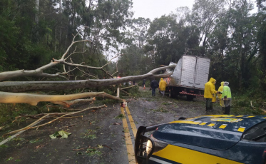 Passado o vendaval, rodovias federais estão liberadas
