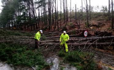 Ciclone extratropical: Já são nove mortes em Santa Catarina
