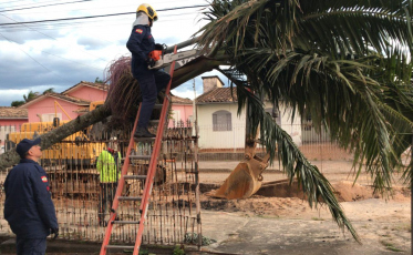 Vendaval: Ocorrências diminuem em Criciúma
