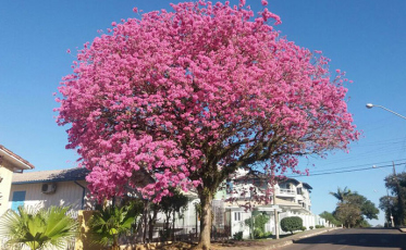 Famcri lança 2ª edição de concurso fotográfico