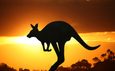 7 curiosidades sobre a Austrália