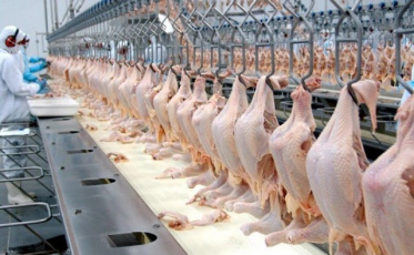 Exportação de SC tem queda de 11,3% até maio