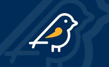 Sul Catarinense registra mais de 100 denúncias por propaganda eleitoral irregular 