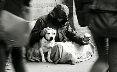 Morador de rua é condenado a mais de 16 anos por homicídio após briga por cachorro
