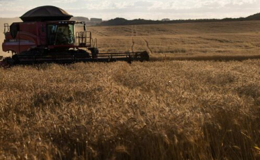 Tecnologia 5G pode alavancar economia do agro no estado