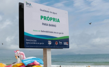Relatório aponta que 66,2% dos pontos do litoral estão próprios para o banho