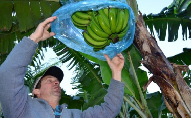 Cuidado redobrado com as plantações