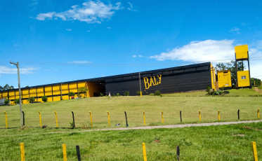 Baly quebra o silêncio após ser alvo de operação que apura fraude fiscal de R$ 500 milhões