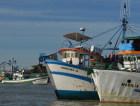 Barcos de pesca receberão maior controle, visando o retorno das exportações
