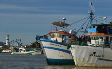 Barcos de pesca receberão maior controle, visando o retorno das exportações