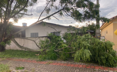Criciúma teve granizo durante temporal