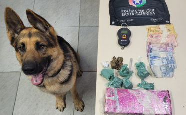 Com ajuda do cão farejador, PM encontra sacola com drogas em Criciúma