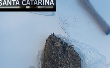 Homem é preso após ser flagrado com 15 gramas de maconha no centro de Criciúma