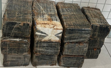 Braço do Norte: homem é preso transportando mais de 200 quilos de maconha em veículo