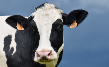 Estado quer ampliar indenizações do Fundesa a produtores rurais