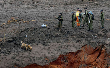 No 7º dia após desastre, esperança diminui e número de vítimas aumenta