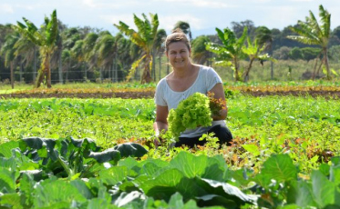 Epagri gera R$ 6,24 para cada real investido pelo Governo do Estado