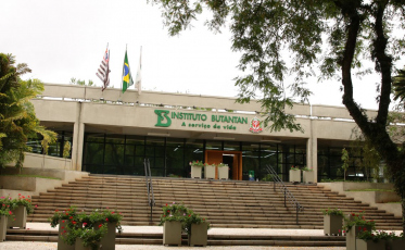 Vacina contra a dengue do Butantan atinge eficácia de 79,6%